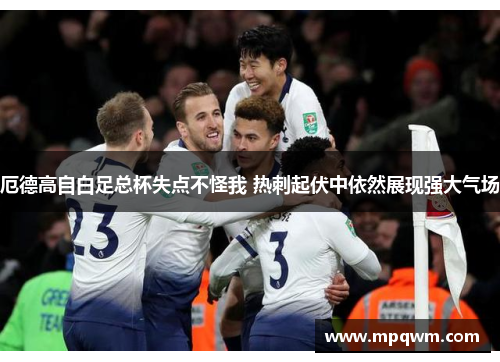 厄德高自白足总杯失点不怪我 热刺起伏中依然展现强大气场